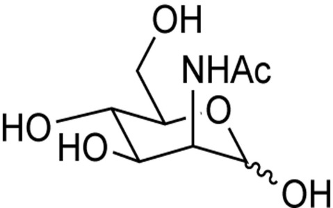 N-Acetyl-D-Mannosamine Monohydrate