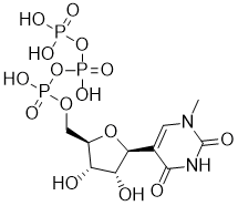 N1-MethylpseudoUridine-5'-Triphosphate