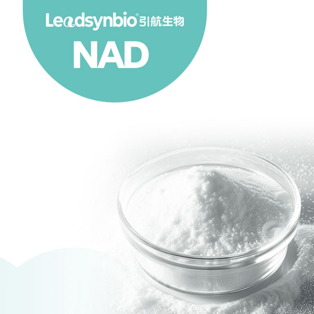 NAD (Nicotinamide Adenine Dinucleotide)