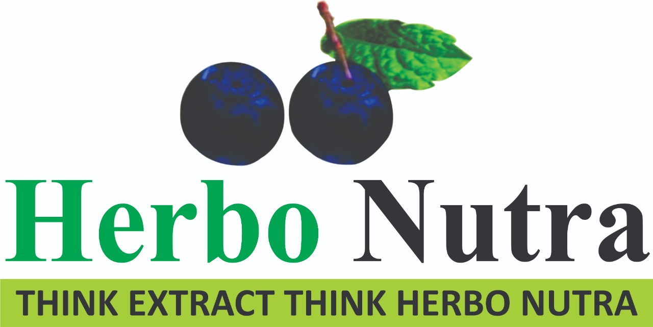Natural Herbal Extract, Cranberry Extract , Elderberry Extract , Ganoderma Extract , Garlic Extract , etc
