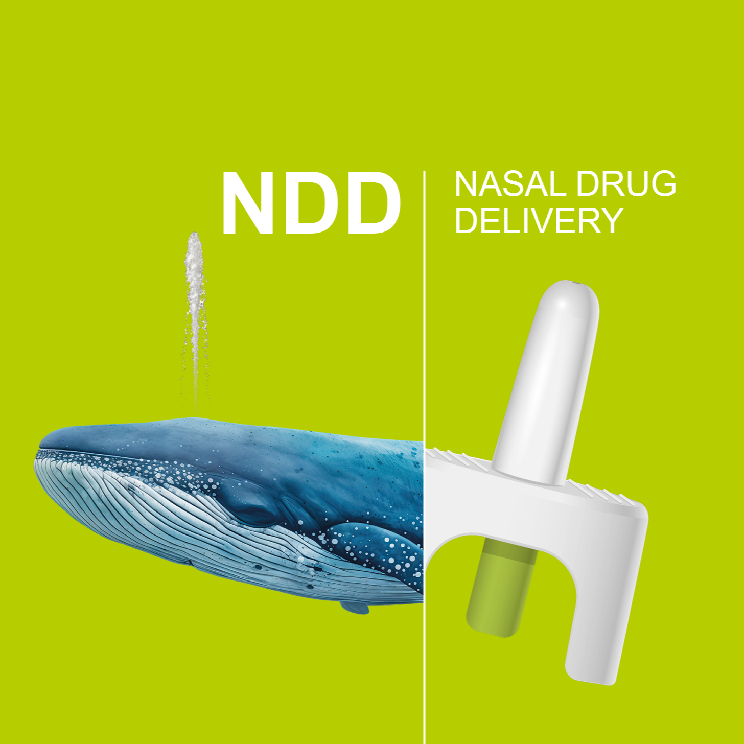 NDD - Nasal Drug Delivery