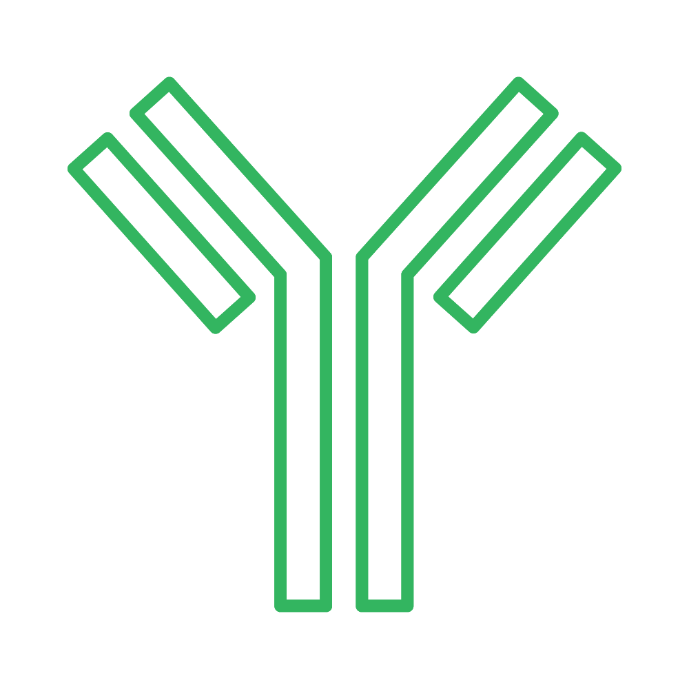 Contract Development and Manufacturing Organisations (CDMOs)... | CPHI  Online, image size:1000x1000