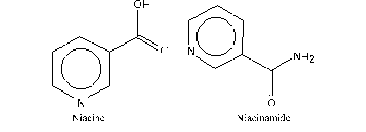Niacin & Niacinamide (Vitamin B3)