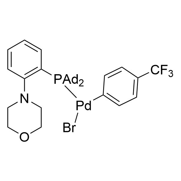 Ni(o-tol)(PAd2-DalPhos)Cl, MorDalPhos and MorDalPhos Pd G6 Br 3