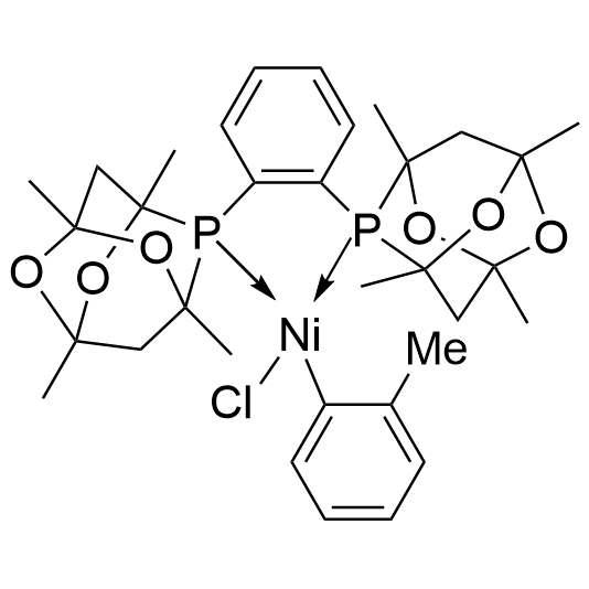 Ni(o-tol)(PAd2-DalPhos)Cl, MorDalPhos and MorDalPhos Pd G6 Br 1