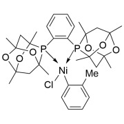 Ni(o-tol)(PAd2-DalPhos)Cl, MorDalPhos and MorDalPhos Pd G6 Br