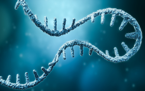 Non-GMP mRNA Development & CMC Services