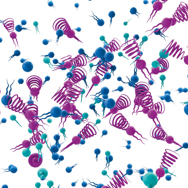 Northern Lipids®