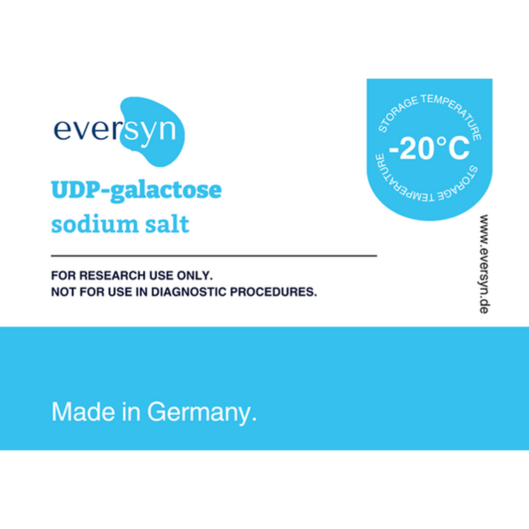 Nucleotide sugar: UDP-Gal; UDP-GalNAc; UDP-GlcNAc