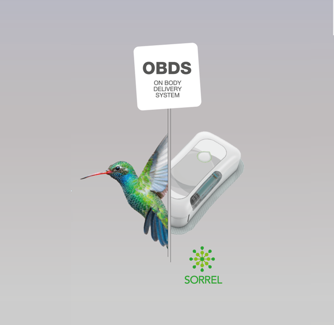 OBDS - On Body Delivery System 1