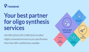 Oligo Synthesis