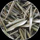 Olive Extract