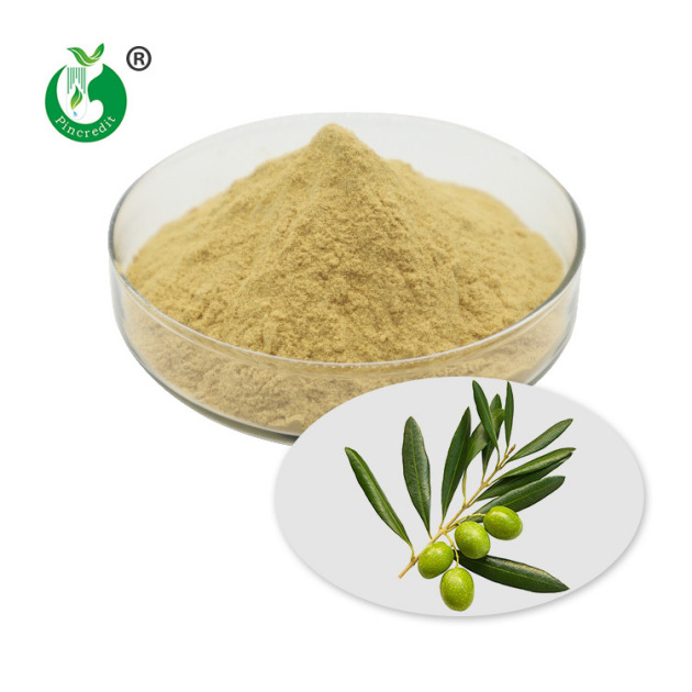 Olive Leaf Extract