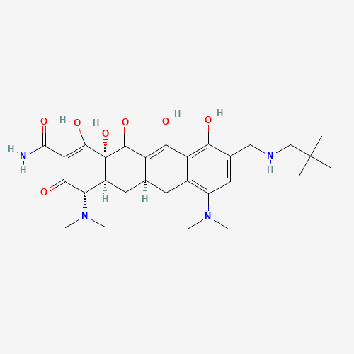Omadacycline