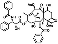 Paclitaxel for inj (Albumin - Bound) – Paclitaxel White Oak 5 mg/ml powder for dispersion for infusion 100mg/20ml