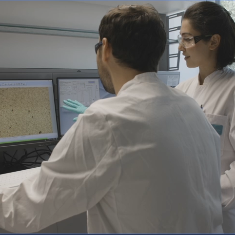 Particle Identification