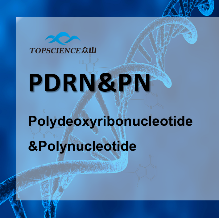 PDRN (Polydeoxyribonucleotide)/ PN (Polynucleotide)