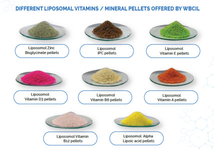 Pellets - Vitamin E, Vitamin B6, Vitamin D3, Liposomal Zinc Bisglycinate Pellets, Vitamin B12, Vitamin A, IPC (Iron Polymaltose Complex), Folic Acid