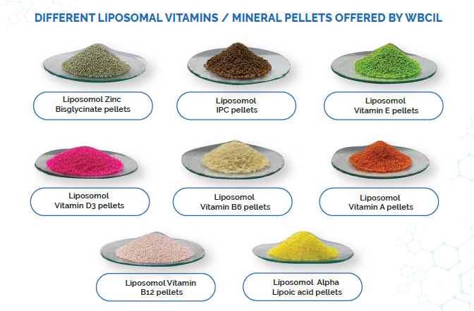 Pellets - Vitamin E, Vitamin B6, Vitamin D3, Liposomal Zinc Bisglycinate Pellets, Vitamin B12, Vitamin A, IPC (Iron Polymaltose Complex), Folic Acid