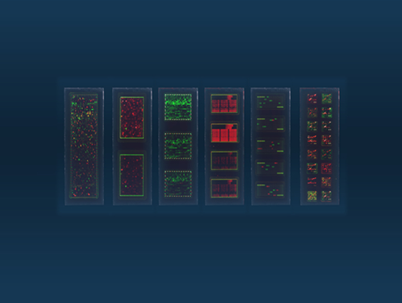PEPperCHIP® High-Density Peptide Microarrays