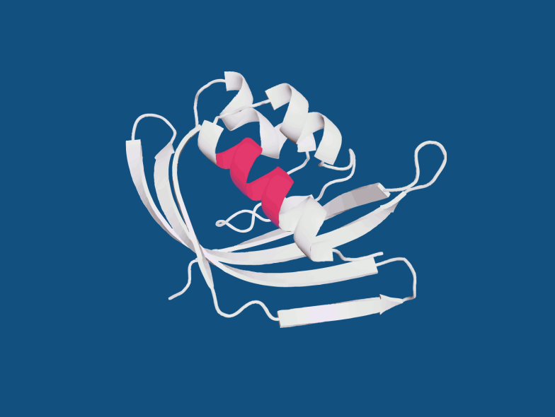 PEPperMAP® Epitope Mapping 1
