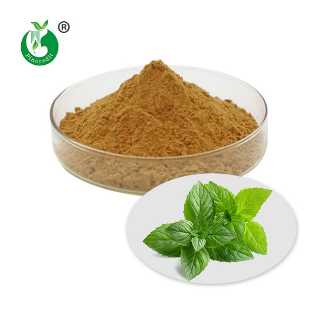 Peppermint Extract Powder