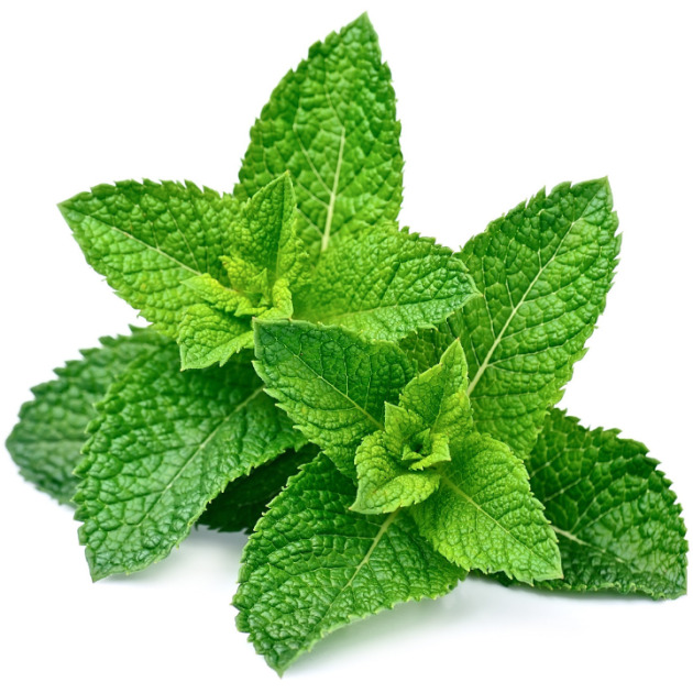 Peppermint Oil