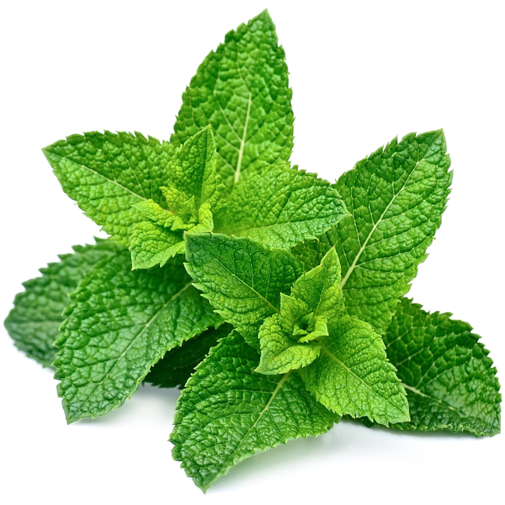 Peppermint Oil