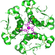Peptide CRDMO Platform