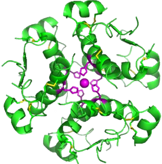 Peptide CRDMO Platform