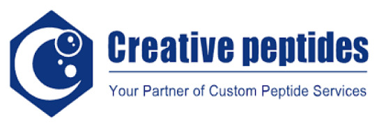 Peptide Modification Services