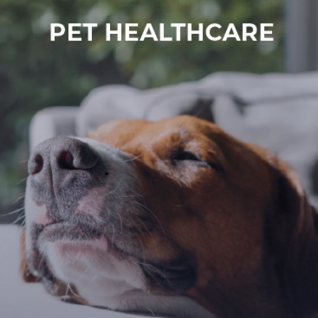 PET HEALTH & HYGIENE