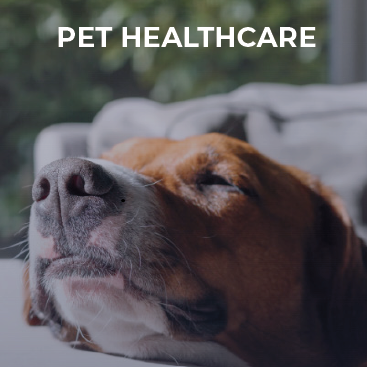 PET HEALTH & HYGIENE