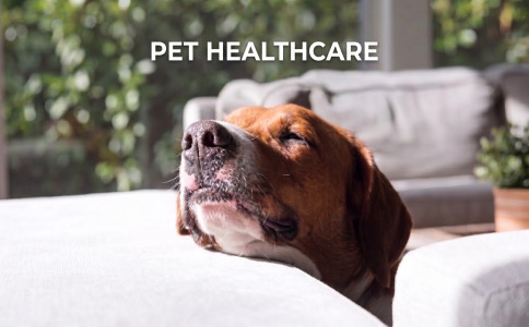 PET HEALTHCARE