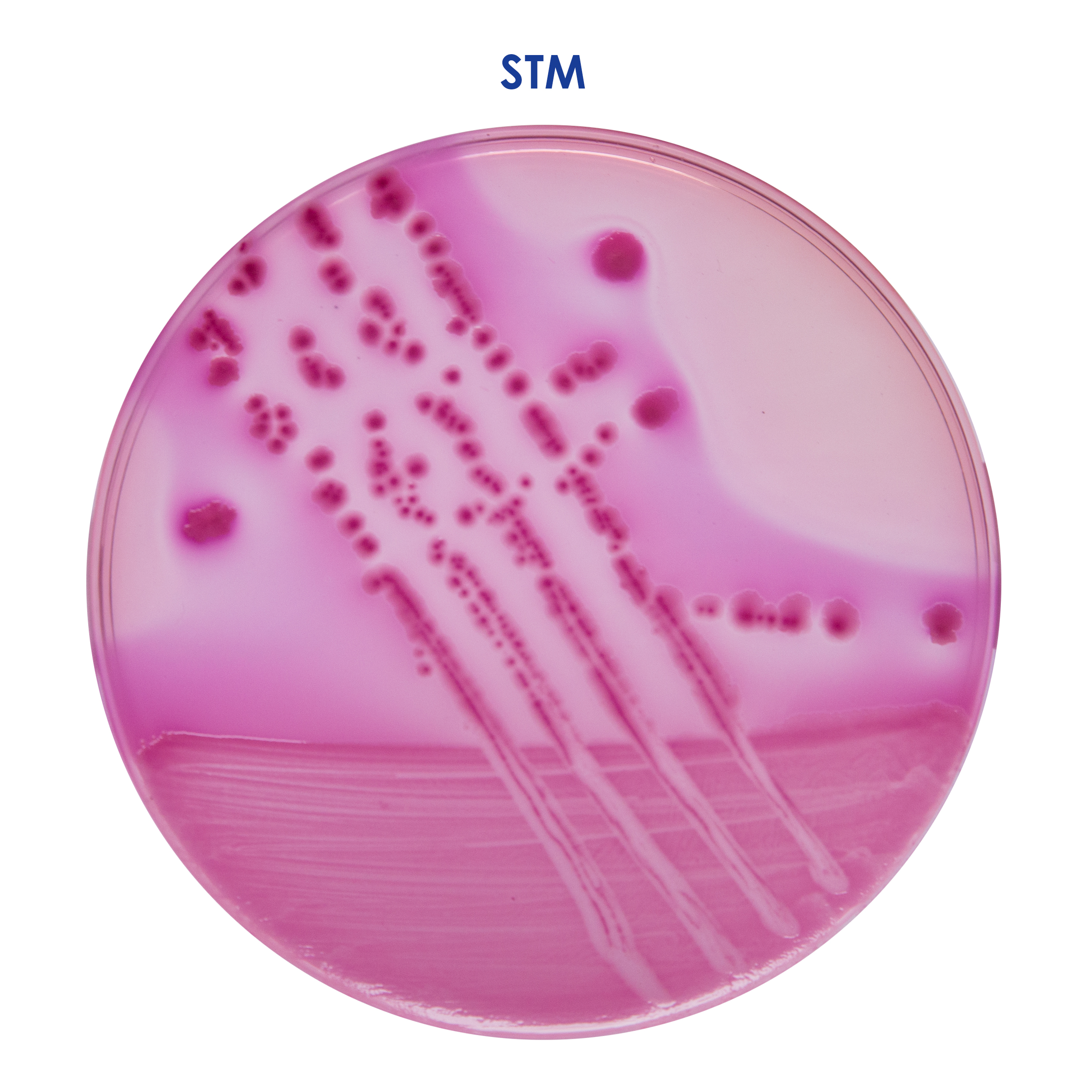 PharmaBio culture media 3