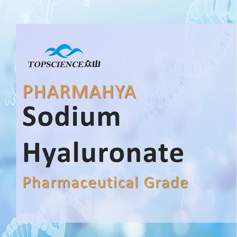 Pharmaceutical Grade Sodium Hyaluronate (Hyaluronic Acid)