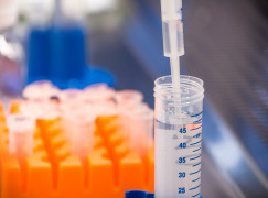 Phase-Appropriate Drug Product Development Services