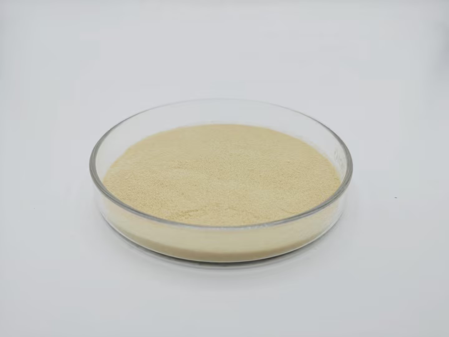 Phosphatidylserine(PS) 2