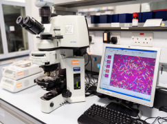 Physical Sciences - Preformulation & Solid State Services