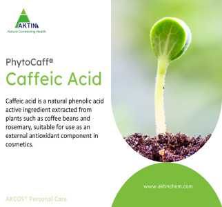 PhytoCaff® Caffeic Acid(Natural)| Caffeic Acid