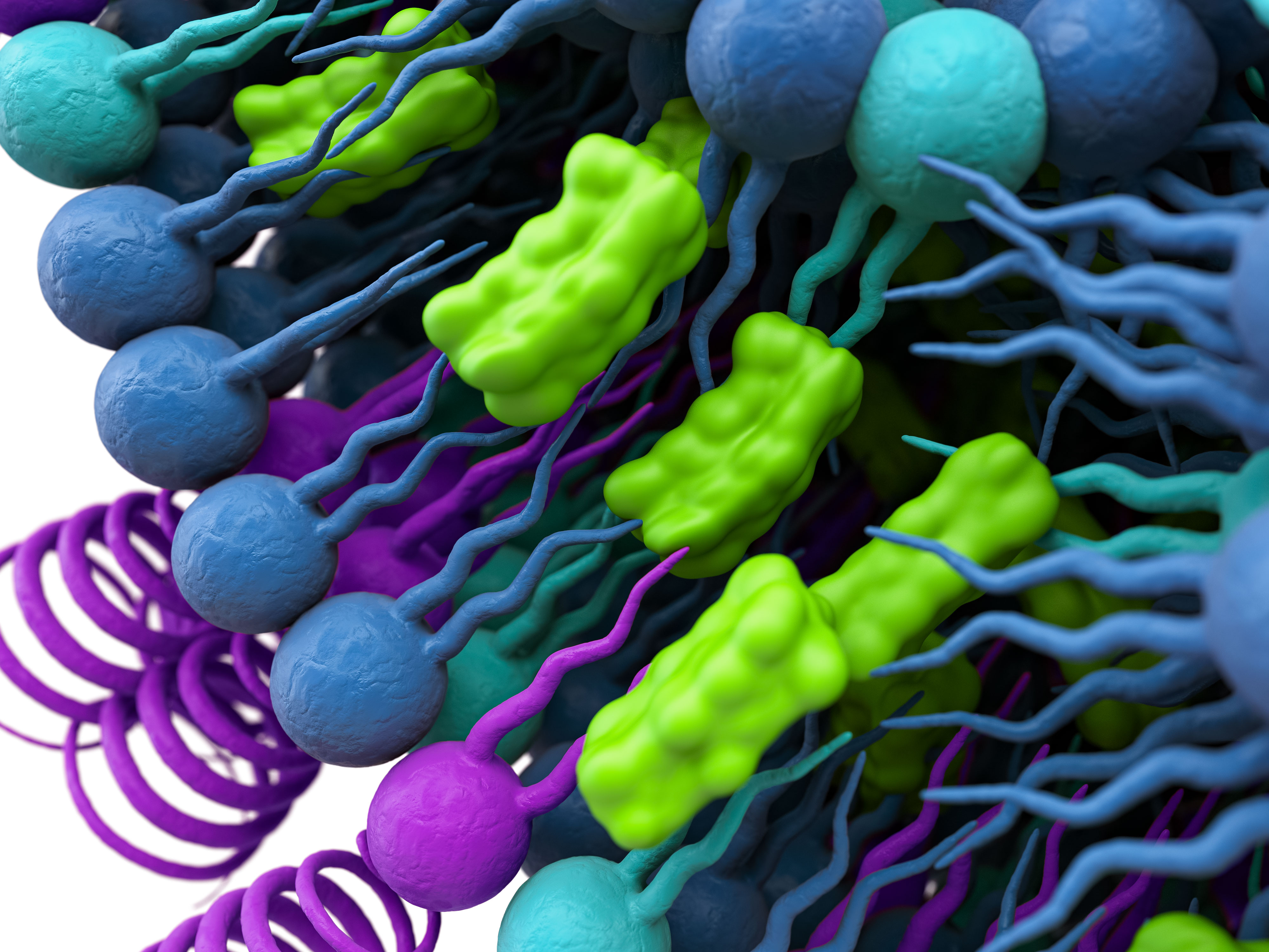 PhytoChol®: Plant-derived cholesterol