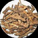 Picrorhiza Kurroa Extract