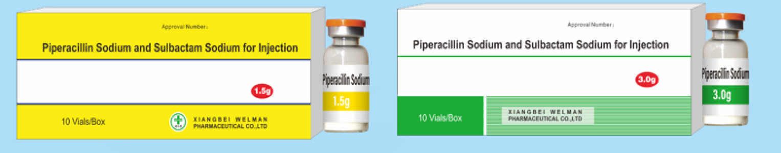Piperacillin Sodium and Sulbactam Sodium for Injection（2:1）