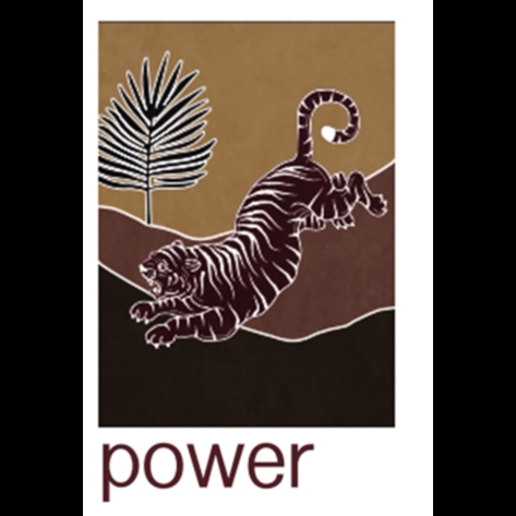 PIUR - POWER