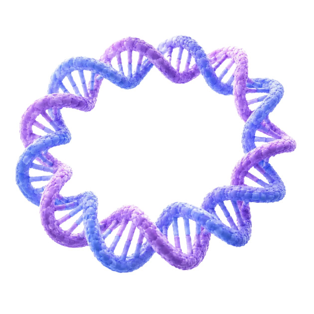 Plasmid DNA
