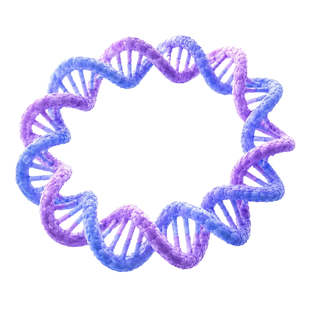 Plasmid DNA