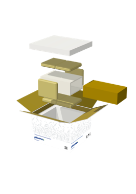 PluumoPlus Cold Chain 2