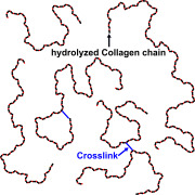 Polygeline