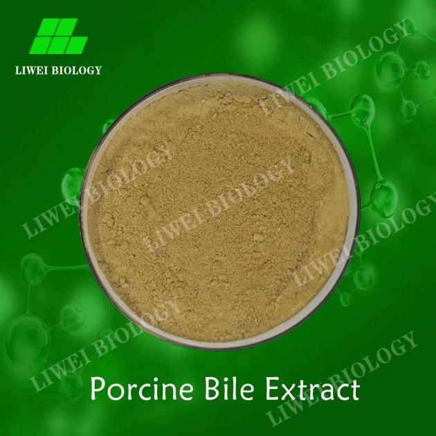 Porcine Bile Extract/Pig bile extract/Pig bile powder/porcine bile powder
