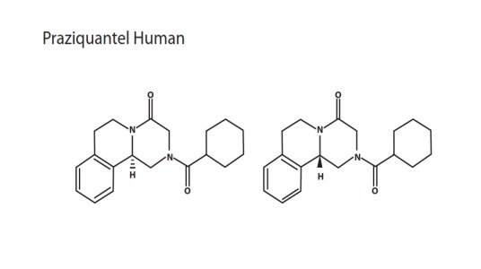 Praziquantel